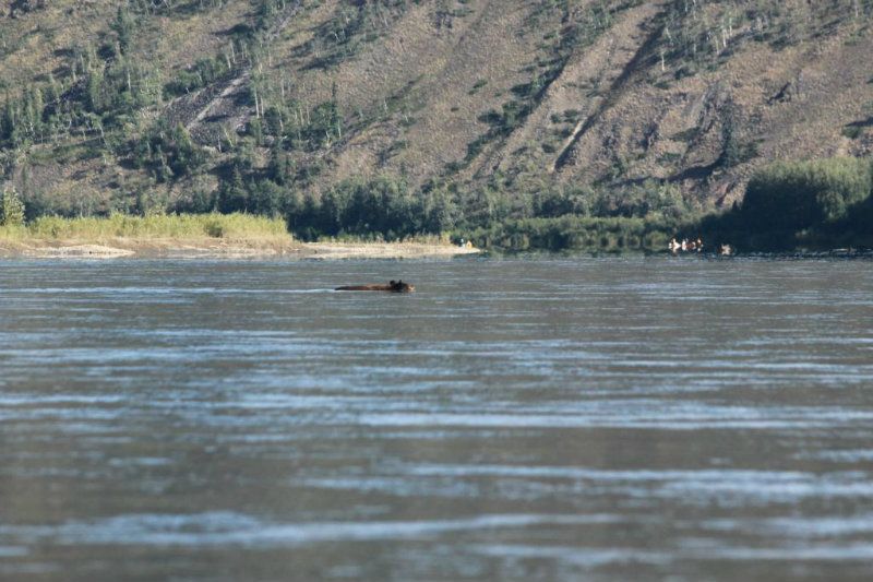 View topic Yukon and Teslin Rivers July 27Aug7 part 2 Carmacks